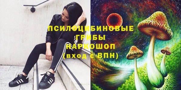 дживик Ельня