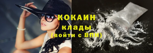 дживик Ельня