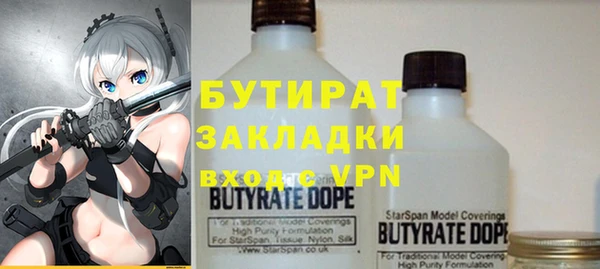 дживик Ельня