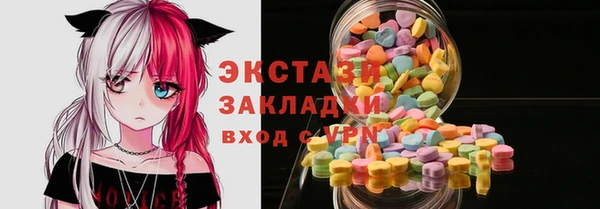 дживик Ельня