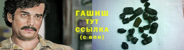 дживик Ельня