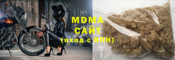 дживик Ельня